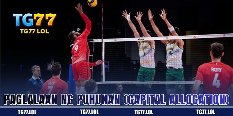 Pamamahagi ng Puhunan (Capital Allocation)