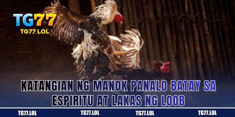 Manok na Nagpapakita ng Tapang bago ang Laban