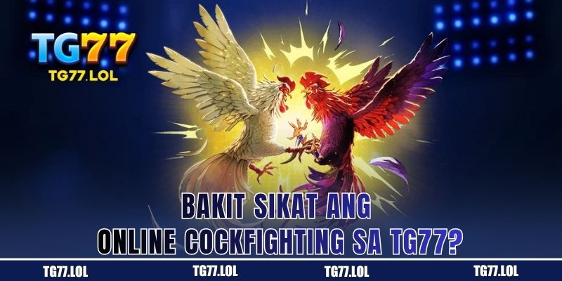 Dahilan Kung Bakit Paborito ang Online Cockfighting sa TG77